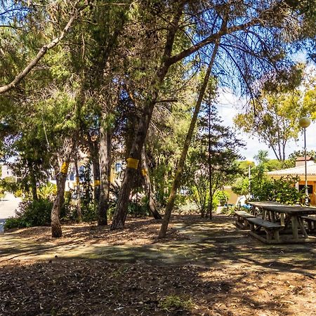 Apartamentos Bosque Sao Jose 알부페이라 외부 사진