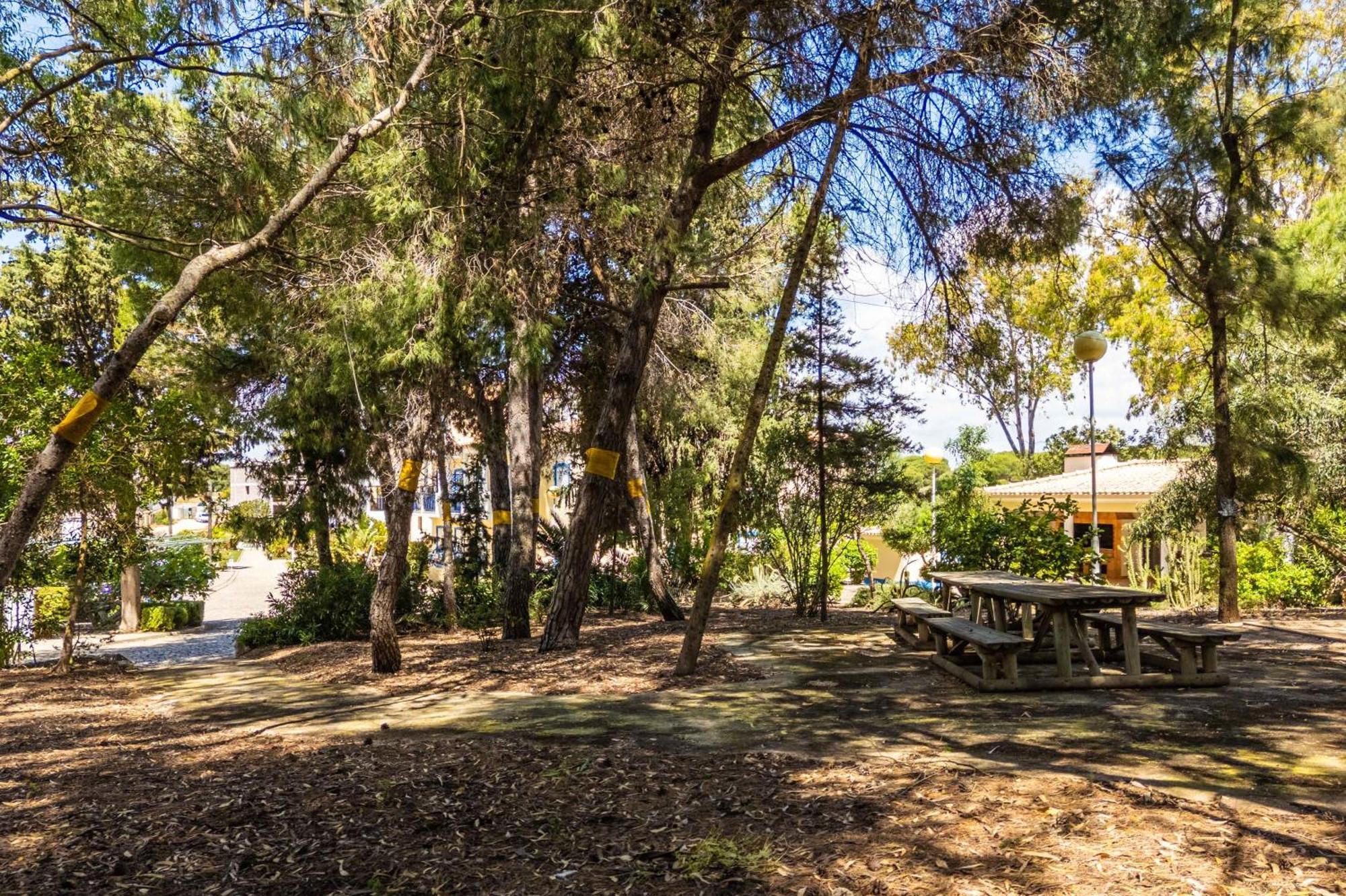 Apartamentos Bosque Sao Jose 알부페이라 외부 사진